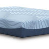 Ammy Queen | Firm Comfort | High Density Memory Foam | Polyester | 10"