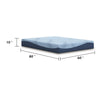Ammy Queen | Firm Comfort | High Density Memory Foam | Polyester | 10"