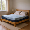 Ammy Queen | Firm Comfort | High Density Memory Foam | Polyester | 10"