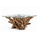 Bruce Coffee Table | 50" Tempered Glass Top | Teak Root Base | Brown