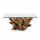 Bruce Coffee Table | 50" Tempered Glass Top | Teak Root Base | Brown