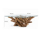Bruce Coffee Table | 50" Tempered Glass Top | Teak Root Base | Brown