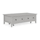 Gemma Coffee Table with 2 Drawers & Casters | Gray Mahogany Wood 55"