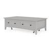 Gemma Coffee Table with 2 Drawers & Casters | Gray Mahogany Wood 55"