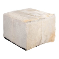 Macadamia Ivory