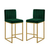 Enola Counter-Height Bar Stool Chair | Set of 2 | Gold Metal | Jade Velvet