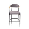 Avime Modern Barstool Chair | Set of 2 | Gold Metal Armrests | Gray Fabric