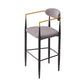 Avime Modern Barstool Chair | Set of 2 | Gold Metal Armrests | Gray Fabric