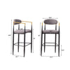 Avime Modern Barstool Chair | Set of 2 | Gold Metal Armrests | Gray Fabric