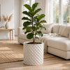 Gana Cylindrical Planter | 3D Diamond Design | Antique White Concrete 16"