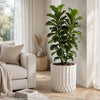 Gana Cylindrical Planter | Ribbed Pattern | Antique White Concrete 17"