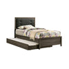 Full Bedroom Set | Gray & Black | 2 Piece Set with Nightst&