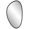 Decorative Wall Mirror | Matte Black Organic Pebble Frame | 21x36
