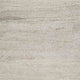 Bina 8x10 Large Area Rug | Trellis Pattern | Beige Polypropylene Polyester