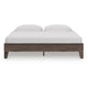 Calso King Platform Bed | No Headboard Transitional Style | Brown Finish