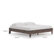 Calso King Platform Bed | No Headboard Transitional Style | Brown Finish