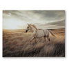 Tiya Wall Art Painting | Wild Horse Galloping Glass Print | Golden 36x48