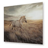 Tiya Wall Art Painting | Wild Horse Galloping Glass Print | Golden 36x48
