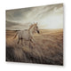 Tiya Wall Art Painting | Wild Horse Galloping Glass Print | Golden 36x48