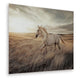 Tiya Wall Art Painting | Wild Horse Galloping Glass Print | Golden 36x48