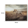 Tiya Wall Art Painting | Wild Horse Galloping Glass Print | Golden 36x48