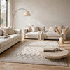 Winie Medium Area Rug with Trellis Motifs | Bordered Design | Gray Tufted Wool 5x7
