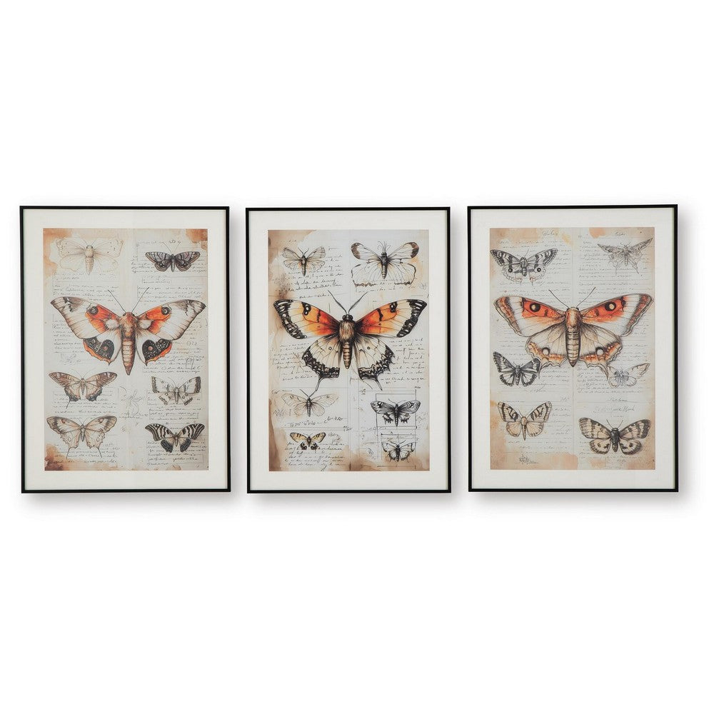 Josie Butterfly Wall Art Set | Antique Script Accents | Acrylic Fronts 20x28