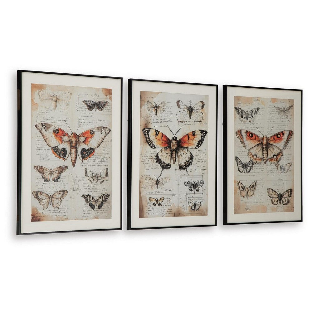 Josie Butterfly Wall Art Set | Antique Script Accents | Acrylic Fronts 20x28
