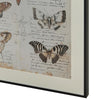 Josie Butterfly Wall Art Set | Antique Script Accents | Acrylic Fronts 20x28