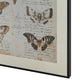 Josie Butterfly Wall Art Set | Antique Script Accents | Acrylic Fronts 20x28
