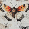 Josie Butterfly Wall Art Set | Antique Script Accents | Acrylic Fronts 20x28