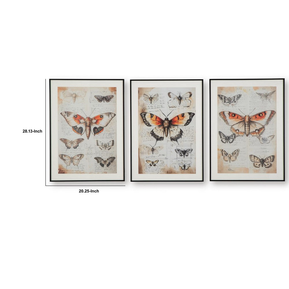 Josie Butterfly Wall Art Set | Antique Script Accents | Acrylic Fronts 20x28