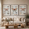 Josie Butterfly Wall Art Set | Antique Script Accents | Acrylic Fronts 20x28