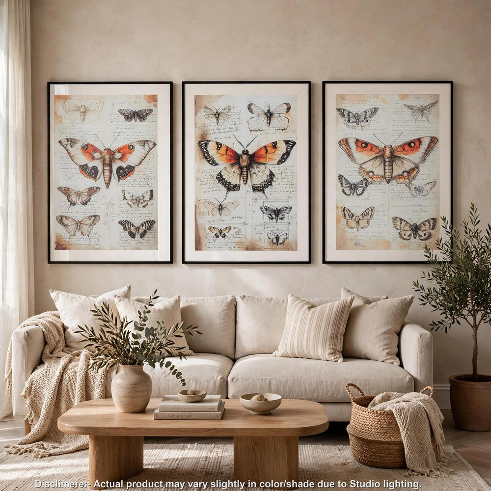 Josie Butterfly Wall Art Set | Antique Script Accents | Acrylic Fronts 20x28