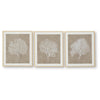 Henny Wall Art | Set of 3 | White Coral Motifs | Brown Glass-Front Frame 20x24
