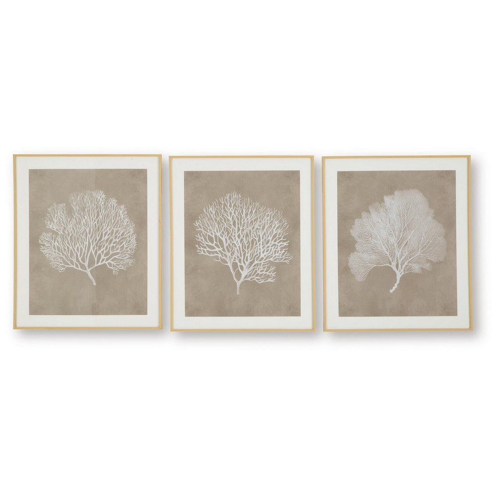 Henny Wall Art | Set of 3 | White Coral Motifs | Brown Glass-Front Frame 20x24
