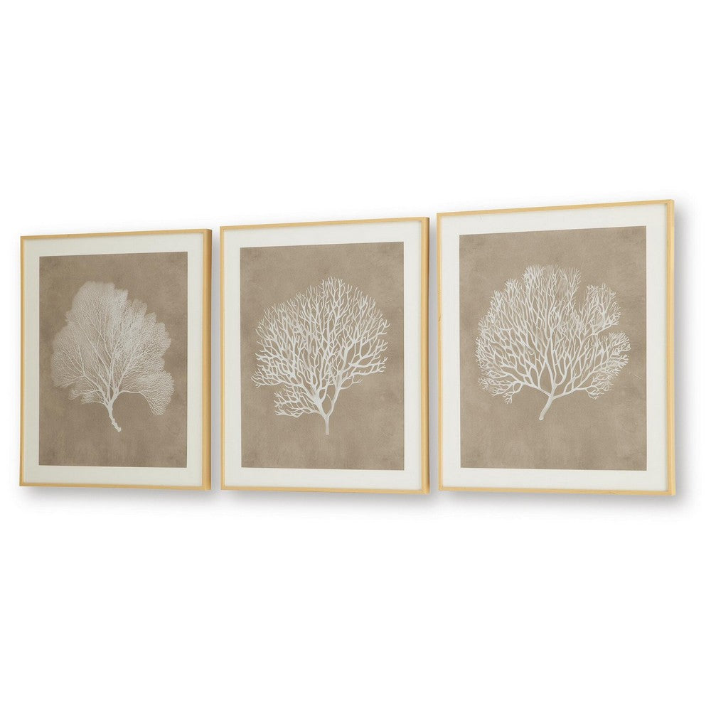 Henny Wall Art | Set of 3 | White Coral Motifs | Brown Glass-Front Frame 20x24