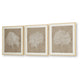 Henny Wall Art | Set of 3 | White Coral Motifs | Brown Glass-Front Frame 20x24