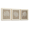 Henny Wall Art | Set of 3 | White Coral Motifs | Brown Glass-Front Frame 20x24