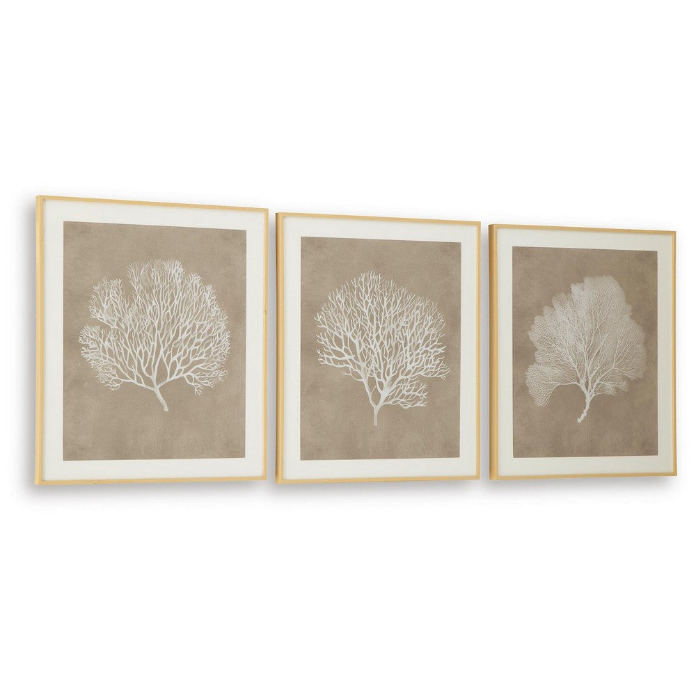 Henny Wall Art | Set of 3 | White Coral Motifs | Brown Glass-Front Frame 20x24
