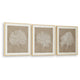 Henny Wall Art | Set of 3 | White Coral Motifs | Brown Glass-Front Frame 20x24