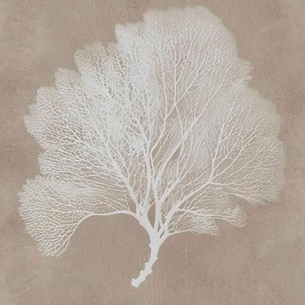 Henny Wall Art | Set of 3 | White Coral Motifs | Brown Glass-Front Frame 20x24