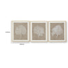 Henny Wall Art | Set of 3 | White Coral Motifs | Brown Glass-Front Frame 20x24