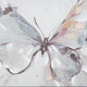 Daizy H&-Painted Butterfly Wall Art | Black Frame | Canvas | Multicolor 36x60