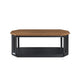 Dany 3pc Coffee Table & End Table | Lower Shelf | Brown Top & Black Base