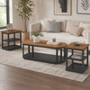 Dany 3pc Coffee Table & End Table | Lower Shelf | Brown Top & Black Base