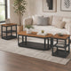 Dany 3pc Coffee Table & End Table | Lower Shelf | Brown Top & Black Base