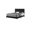 Queen Bedroom Set, Black and Gold, 2 Piece Set with Nightstand