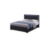 Queen Bedroom Set | Black & Gold | 2 Piece Set with Nightst&