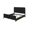 Queen Bedroom Set | Black & Gold | 2 Piece Set with Nightst&